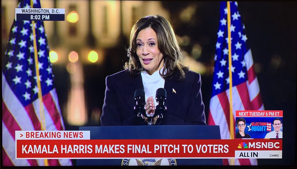 Kamala Harris at a campaign rally, slams Donald Trump